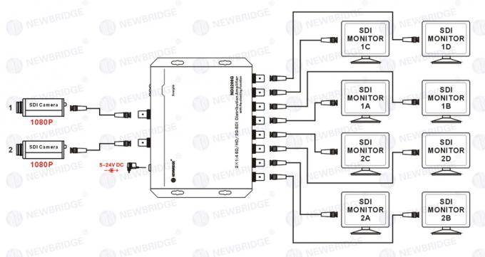 Amplificateur amplificateur de distribution de SD/HD/3G-SDI 1 à 4 de distribution de HD-SDI